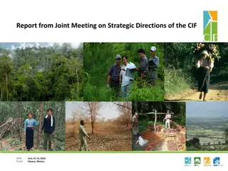 Strategic Directions and Outcomes from CIF Joint Meeting