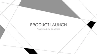 Effective Product Launch Strategy for Accomplished Professionals