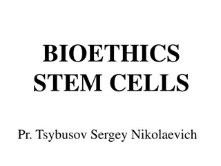 Stem Cells: A Comprehensive Overview