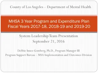 Los Angeles Department of Mental Health Program Overview