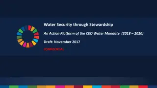 Water Security through Stewardship: CEO Water Mandate Action Platform