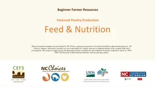 Pastured Poultry Production: Feed and Nutrition Essentials