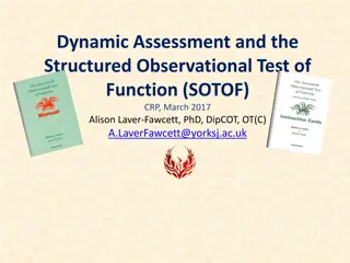 SOTOF: A Dynamic Assessment Tool for Occupational Therapists