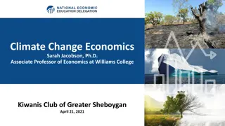 The Economics of Climate Change