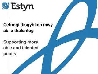 Supporting More Able and Talented Pupils in Wales