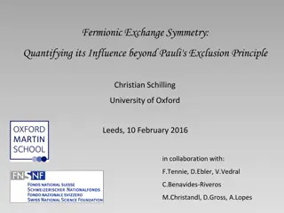 Fermionic Exchange Symmetry and Its Influence