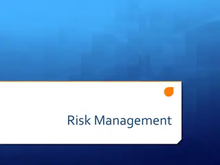 Risk Management: Types of Risks and Strategies