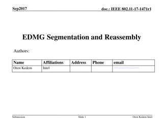 Improving WLAN Performance through Segmentation Techniques