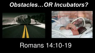 Romans 14:10-19: Embracing Mutual Respect and Avoiding Judgment