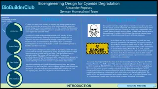 Bioengineering Design for Cyanide Degradation by Alexander Popescu and German Homeschool Team