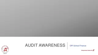 Audit Requirements for Local Government Entities