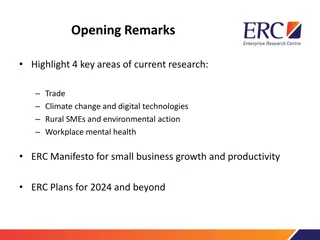 Insights on Small Business Dynamics and Productivity in the UK