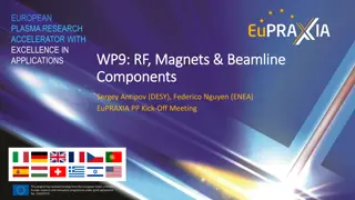 European Plasma Research Accelerator Excellence in Applications
