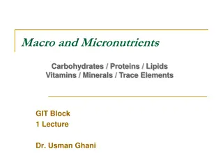 Macronutrients and Micronutrients for Optimal Health