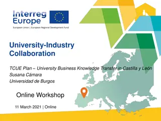 University-Industry Collaboration in Castilla y León: TCUE Plan & Business Knowledge Transfer