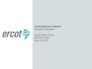 Credit Exposure Trends and Collateral Dynamics in ERCOT Market