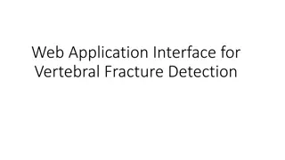 Interface for Vertebral Fracture Detection - DICOM Imaging and Testing