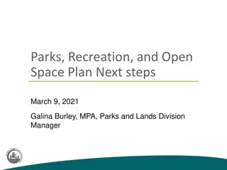 Comprehensive Parks, Recreation, and Open Space Plan Next Steps and Priorities