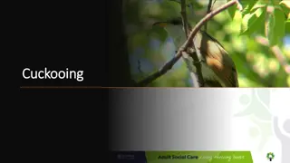 Cuckooing