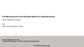 Microstructure of the Brazilian Corporate Bond Market: Insights from Research Workshop