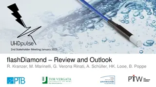 FlashDiamond Review and Outlook at 2nd Stakeholder Meeting January 2023