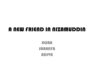 Exploring Nizamuddin: A New Friend and Vibrant Neighborhood