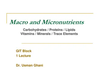 Macronutrients and Micronutrients in Nutrition