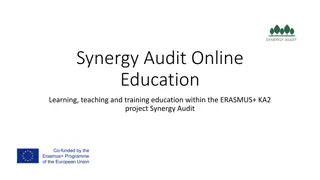 Synergy Audit Online Education: Environmental Management and Audits in ERASMUS+ Project