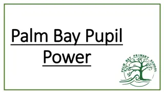 Empowering Youth for Environmental Change Through 