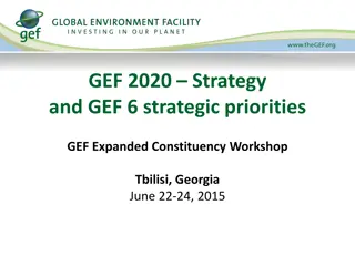GEF 2020 Strategy and Environmental Solutions Overview