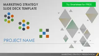 Effective Marketing Strategy and Channels for Enhanced Brand Visibility