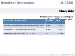 DarkSide-20k Calibration System Development Update