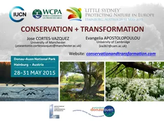 Conservation and Transformation Project in Post-Crisis Europe