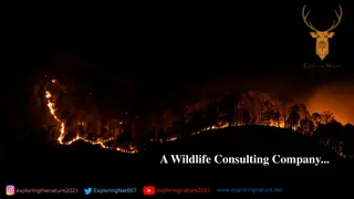 Wildlife Photography Workshops for Nature Lovers