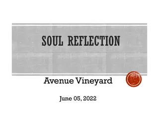 Inner Reflection and Spiritual Growth