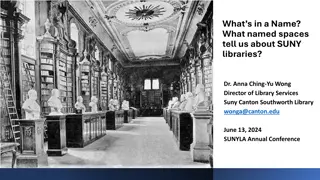Analyzing SUNY Libraries: Uncovering Named Spaces and Their Impact