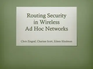 Wireless Ad Hoc Networks Security Overview