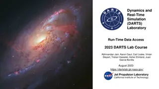 DARTS Lab: Simulation Objects, Data Access, and DVar Layer