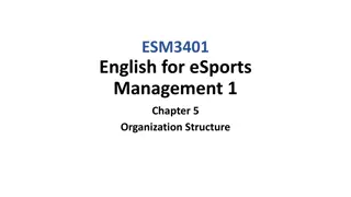 Organization Structure in eSports Management