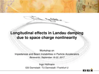 Exploring Longitudinal Effects in Landau Damping: Workshop Insights