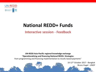 Effective Strategies and Mechanisms for National REDD+ Funding