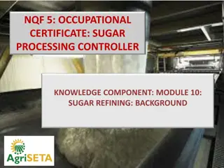 Insight into Sugar Refining Process
