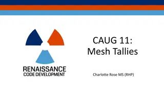 Mesh Tallies in Nuclear Engineering