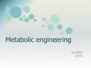Metabolic Engineering and the Krebs Cycle for Improved Production
