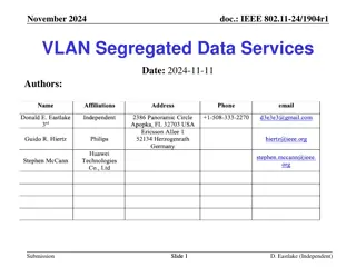 IEEE 802.11-24/1904r1 VLAN Segregated Data Services Overview