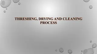 Seed Threshing, Drying & Cleaning Process Guide