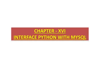 Python Interface with MySQL: Database Programming Power