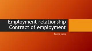 Employment Relationship and Labour Law Principles