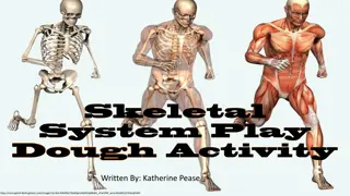 Implications of Softened Bones on the Human Body