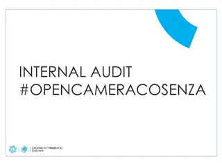 Internal Audit and Productive System Insights